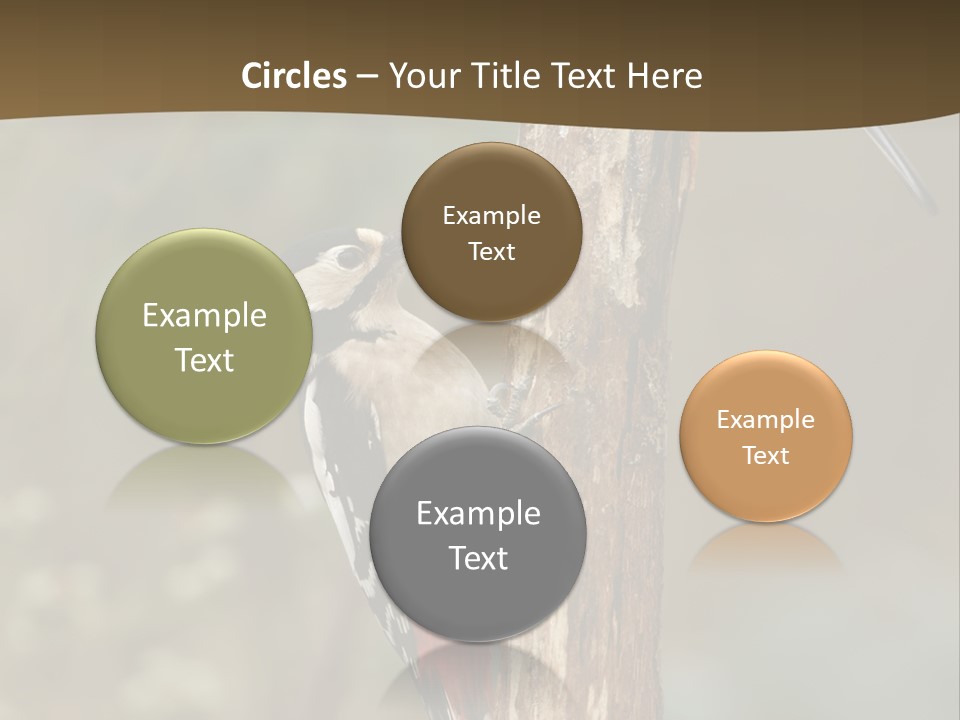 Resting Nature Colorful PowerPoint Template