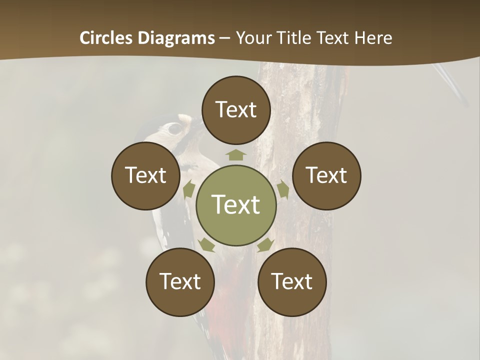 Resting Nature Colorful PowerPoint Template