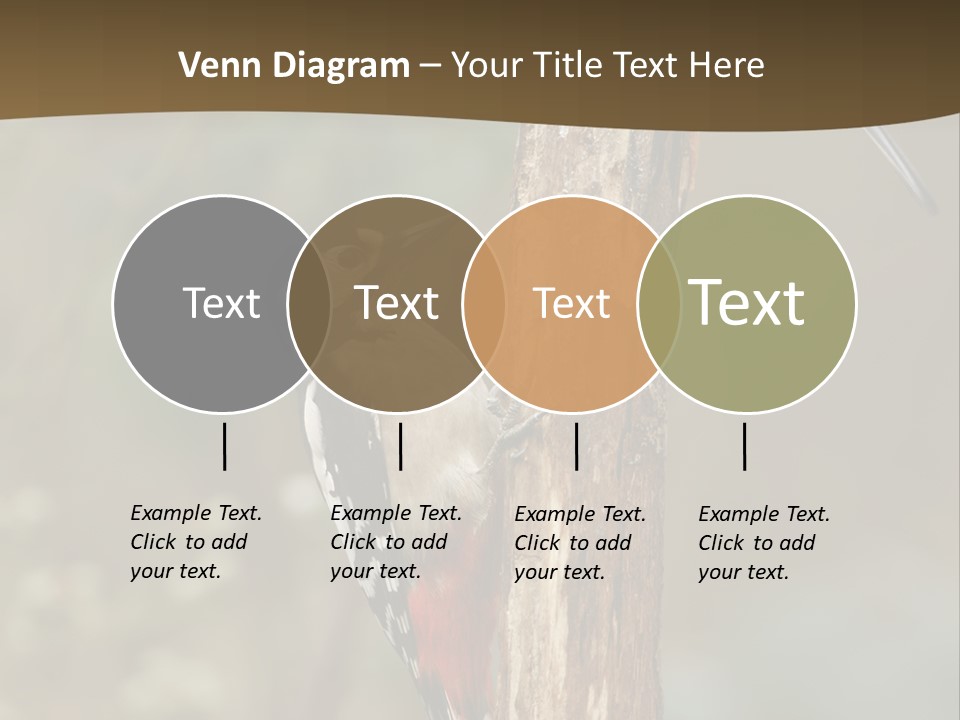 Resting Nature Colorful PowerPoint Template