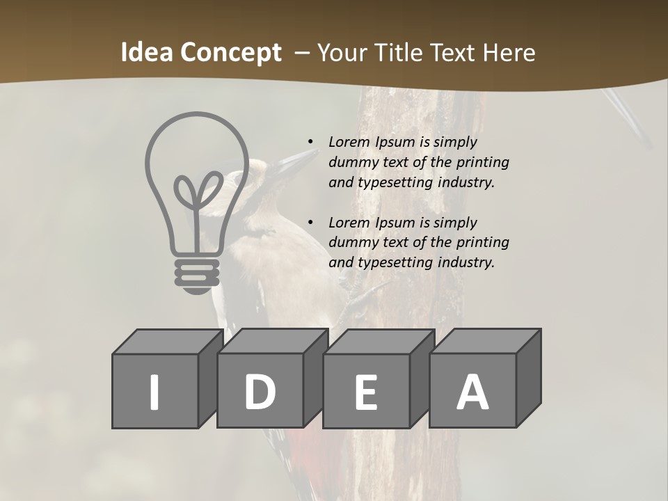 Resting Nature Colorful PowerPoint Template