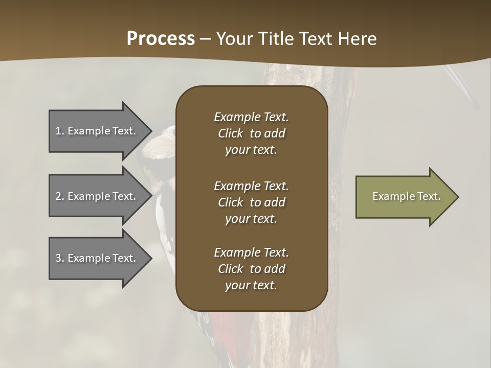 Resting Nature Colorful PowerPoint Template