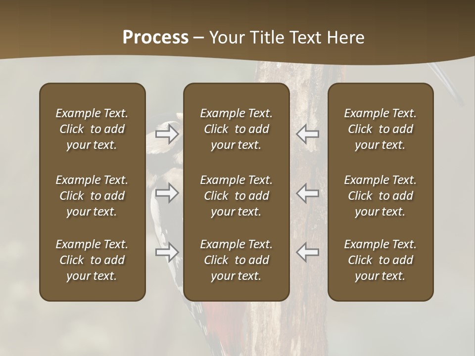 Resting Nature Colorful PowerPoint Template