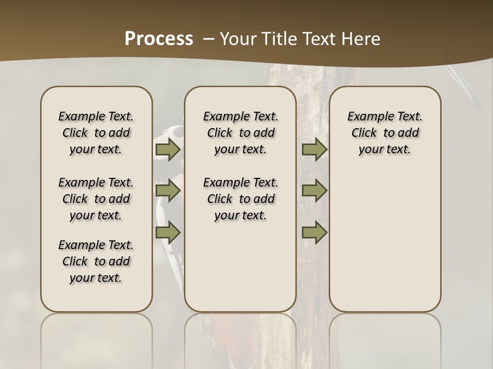 Resting Nature Colorful PowerPoint Template