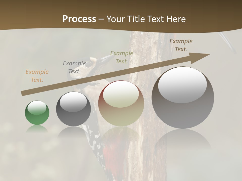 Resting Nature Colorful PowerPoint Template