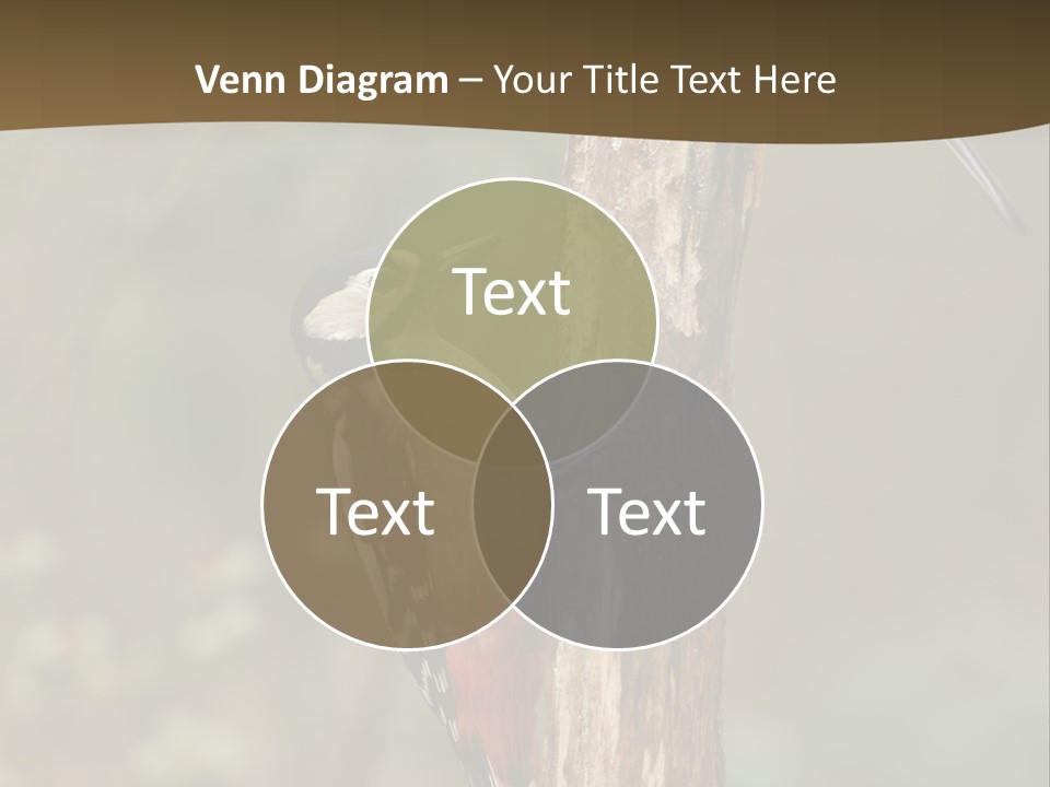 Resting Nature Colorful PowerPoint Template