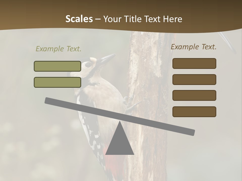 Resting Nature Colorful PowerPoint Template