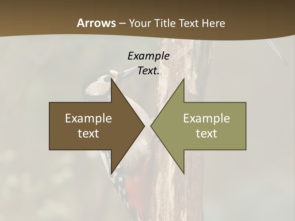 Resting Nature Colorful PowerPoint Template
