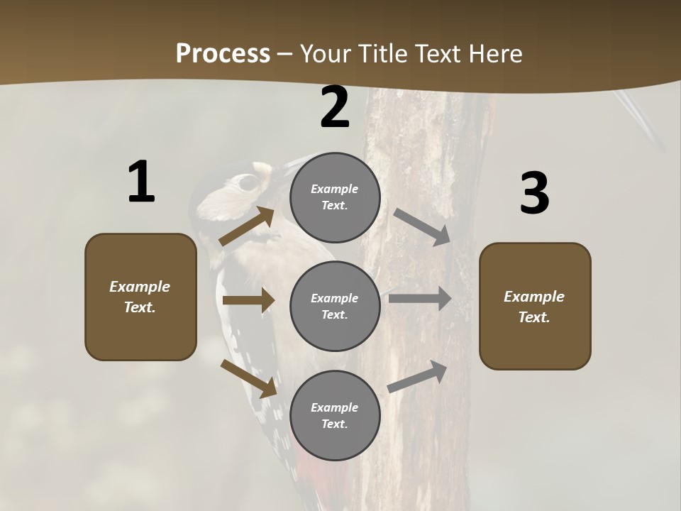 Resting Nature Colorful PowerPoint Template