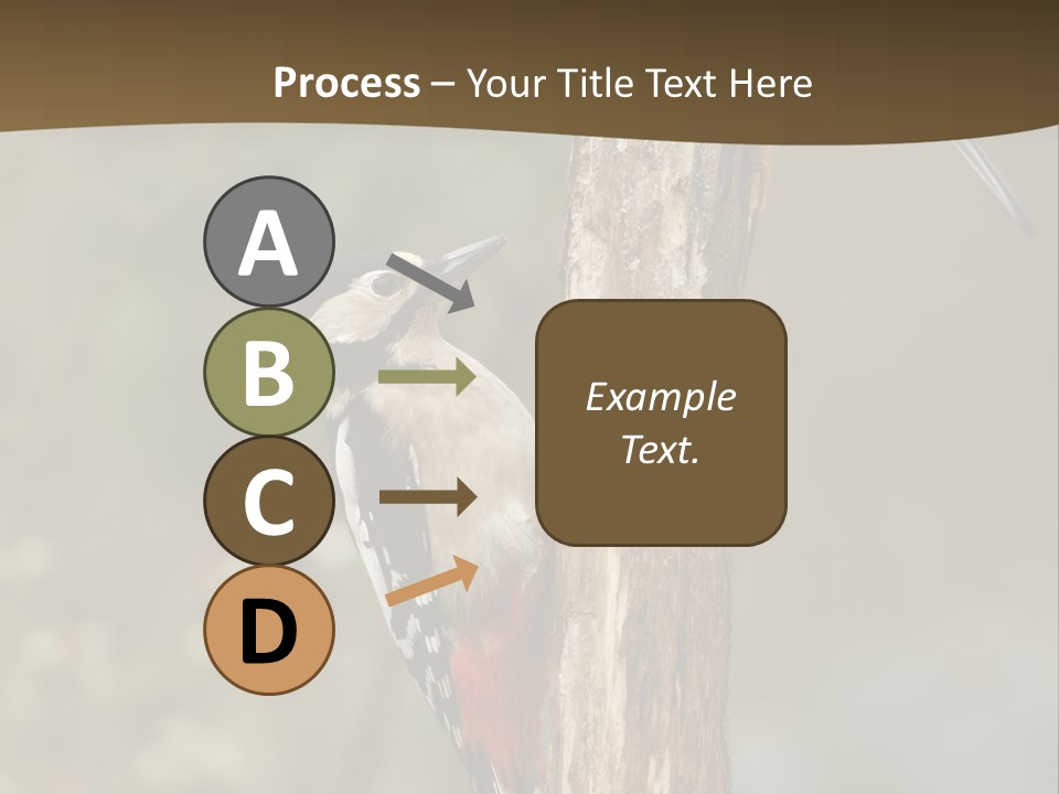 Resting Nature Colorful PowerPoint Template