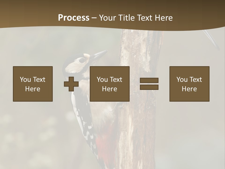 Resting Nature Colorful PowerPoint Template