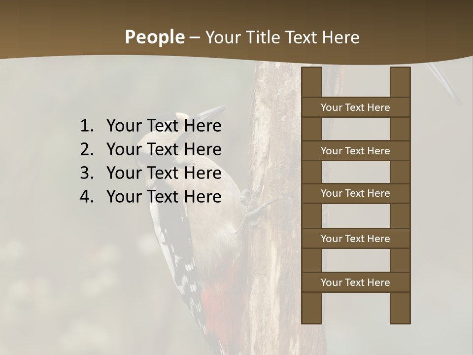 Resting Nature Colorful PowerPoint Template