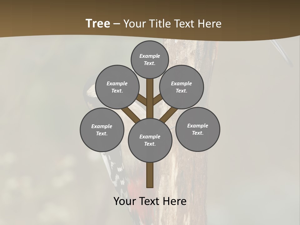 Resting Nature Colorful PowerPoint Template