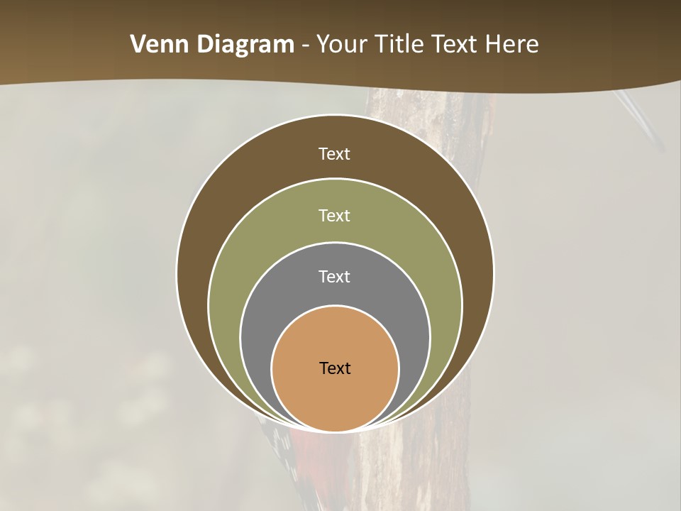 Resting Nature Colorful PowerPoint Template