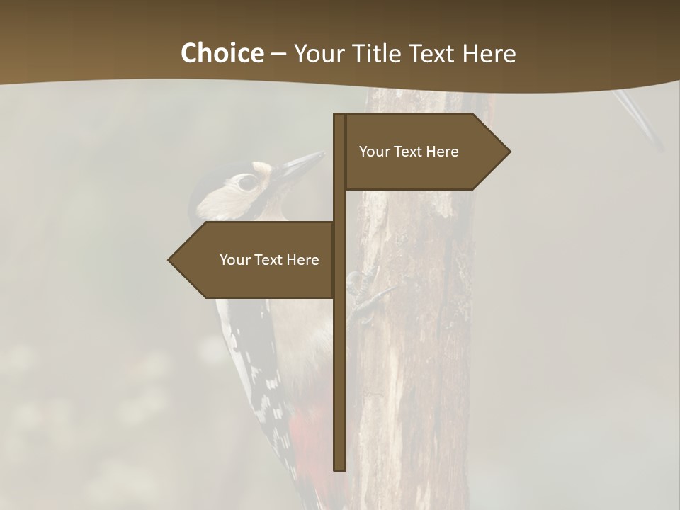 Resting Nature Colorful PowerPoint Template