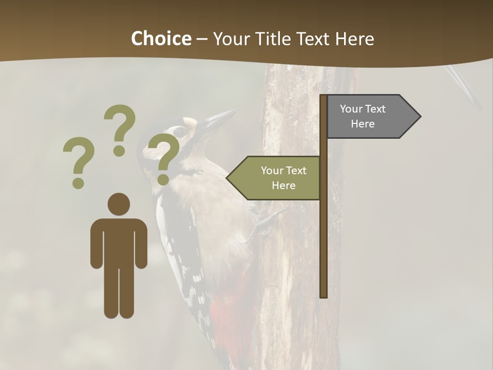 Resting Nature Colorful PowerPoint Template