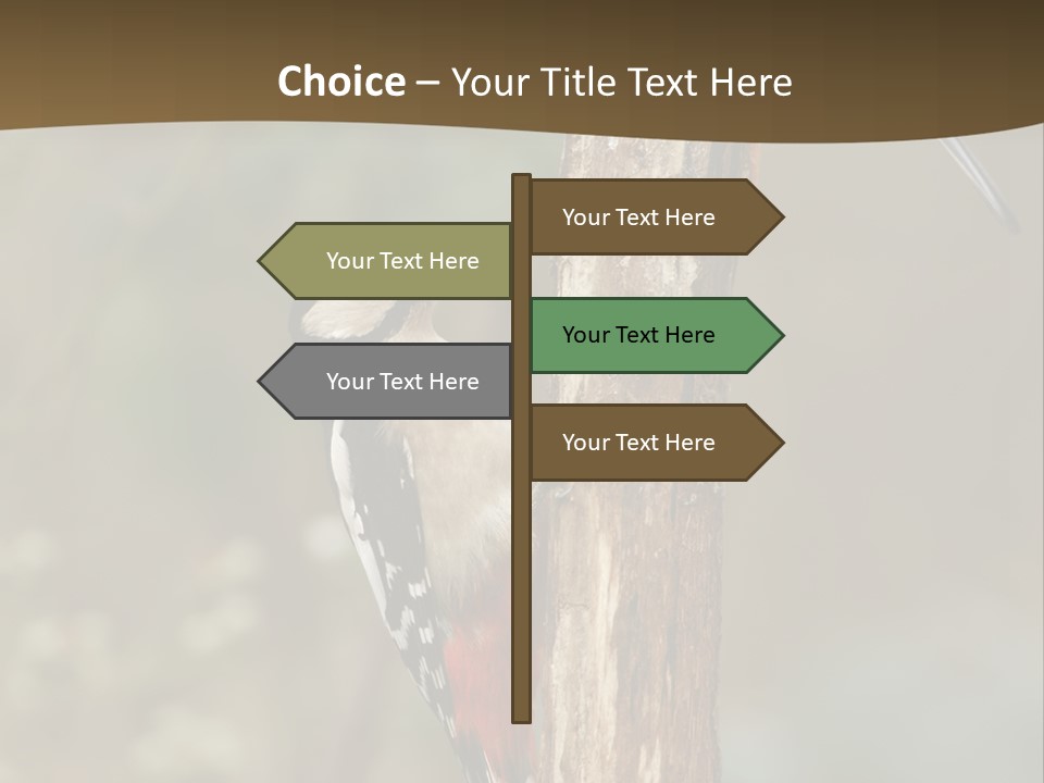 Resting Nature Colorful PowerPoint Template