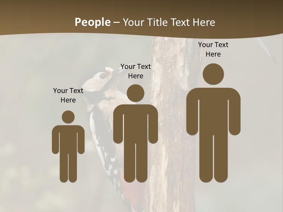 Resting Nature Colorful PowerPoint Template