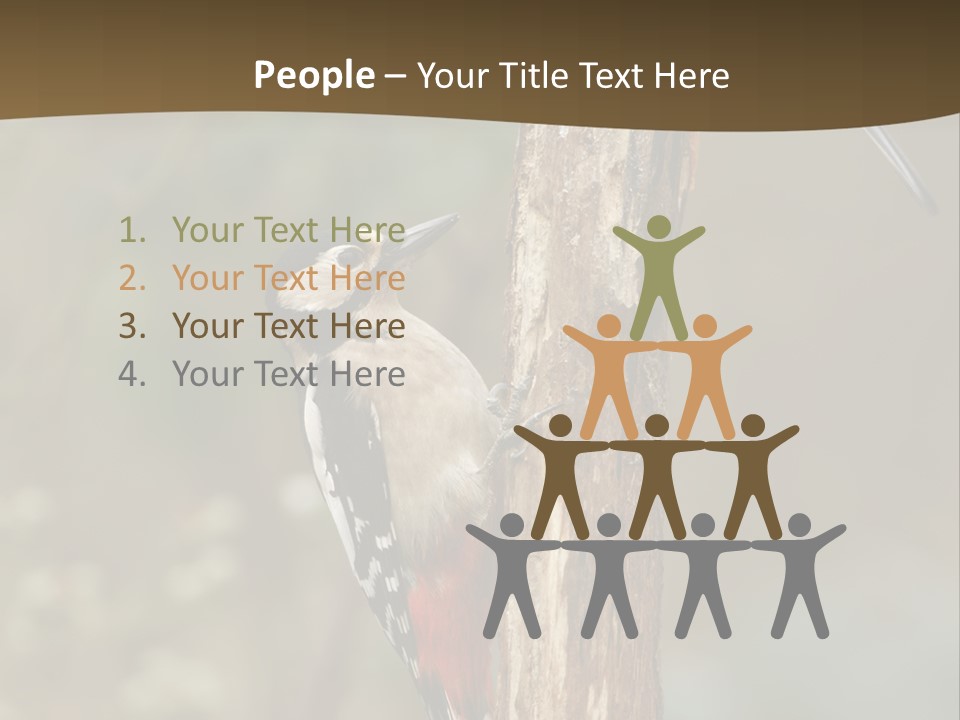 Resting Nature Colorful PowerPoint Template