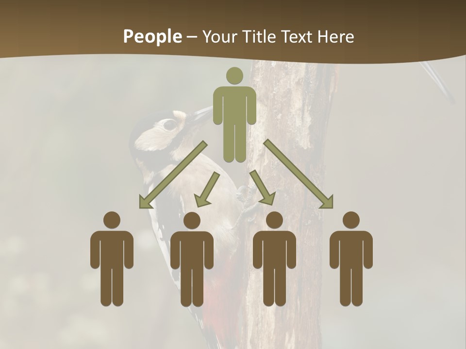 Resting Nature Colorful PowerPoint Template