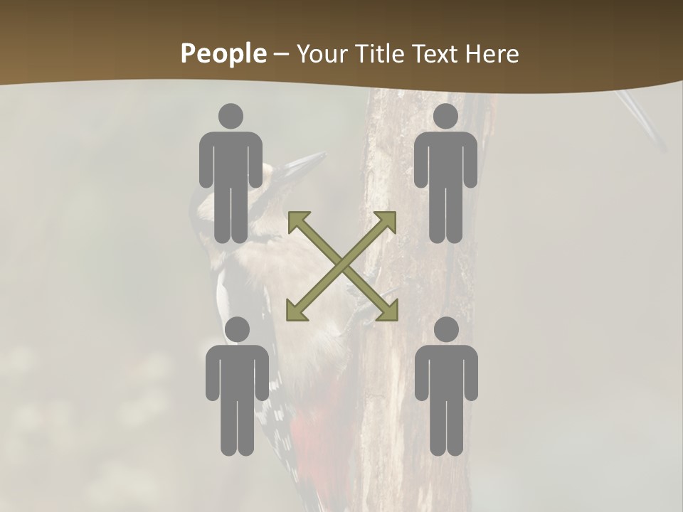 Resting Nature Colorful PowerPoint Template