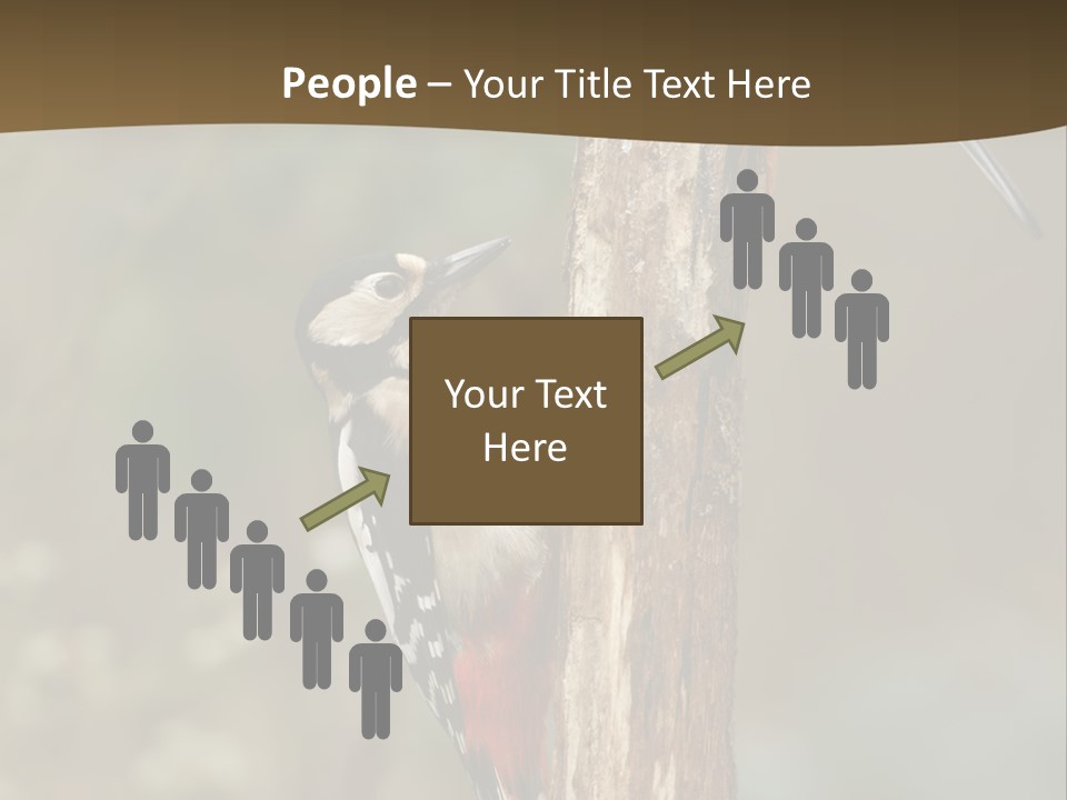 Resting Nature Colorful PowerPoint Template