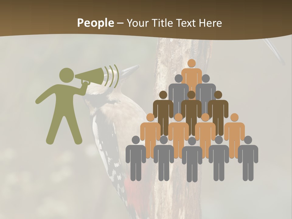 Resting Nature Colorful PowerPoint Template