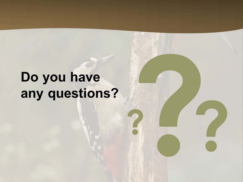 Resting Nature Colorful PowerPoint Template