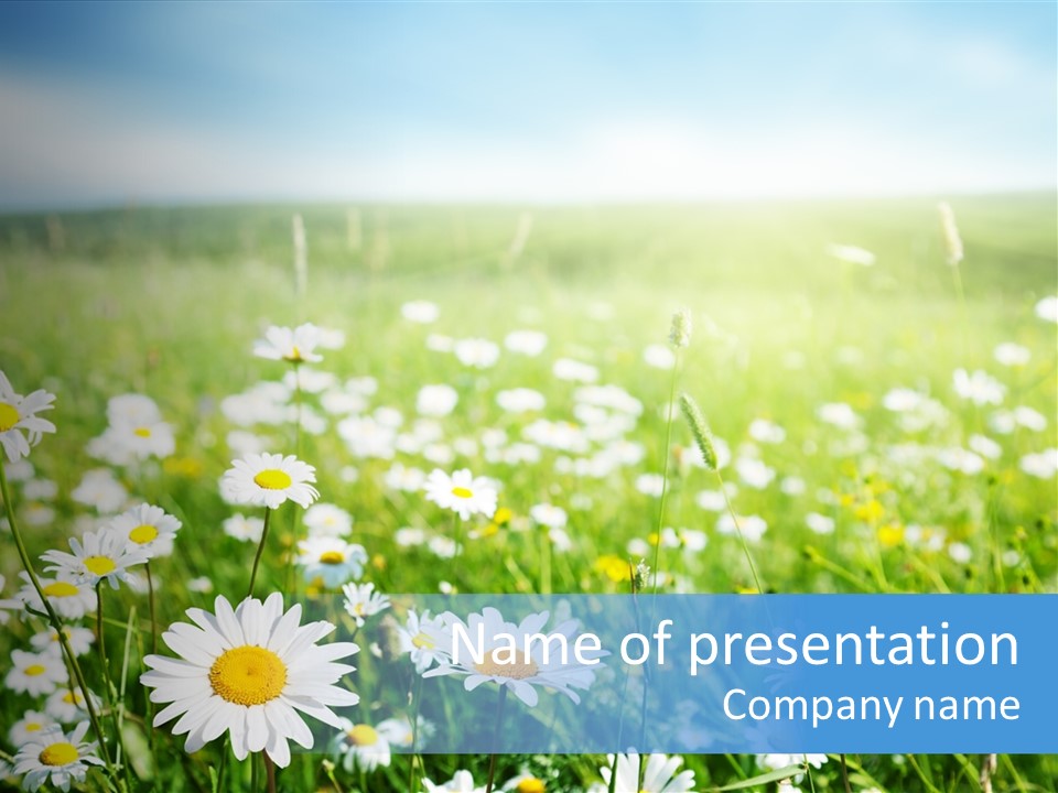 Plant Scenic Spring PowerPoint Template