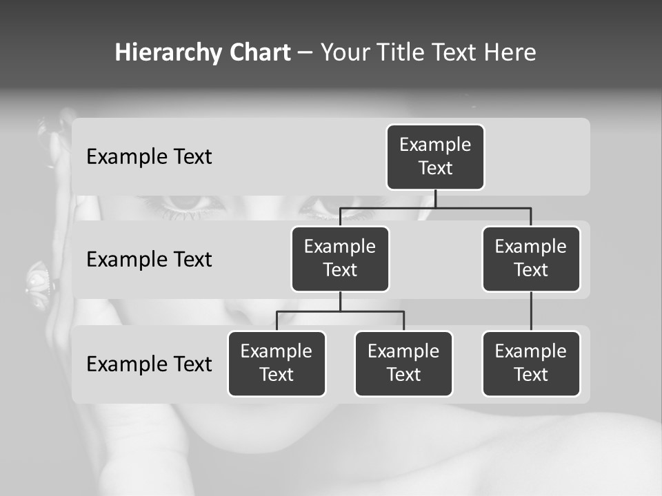 Light Beauty White PowerPoint Template
