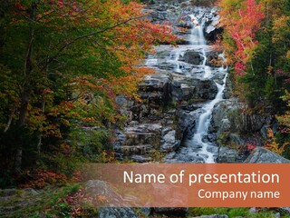 Postcard Scenic Maples PowerPoint Template