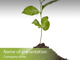 Leaf Ecology Cultivate PowerPoint Template