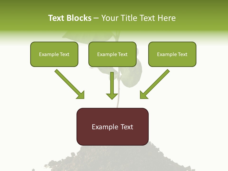 Leaf Ecology Cultivate PowerPoint Template