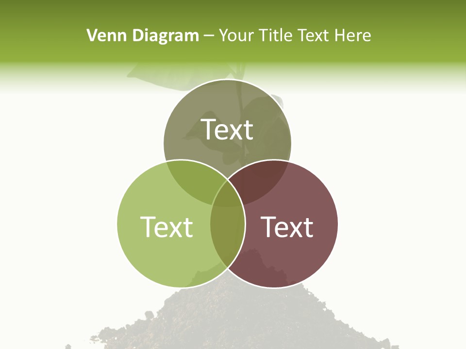 Leaf Ecology Cultivate PowerPoint Template