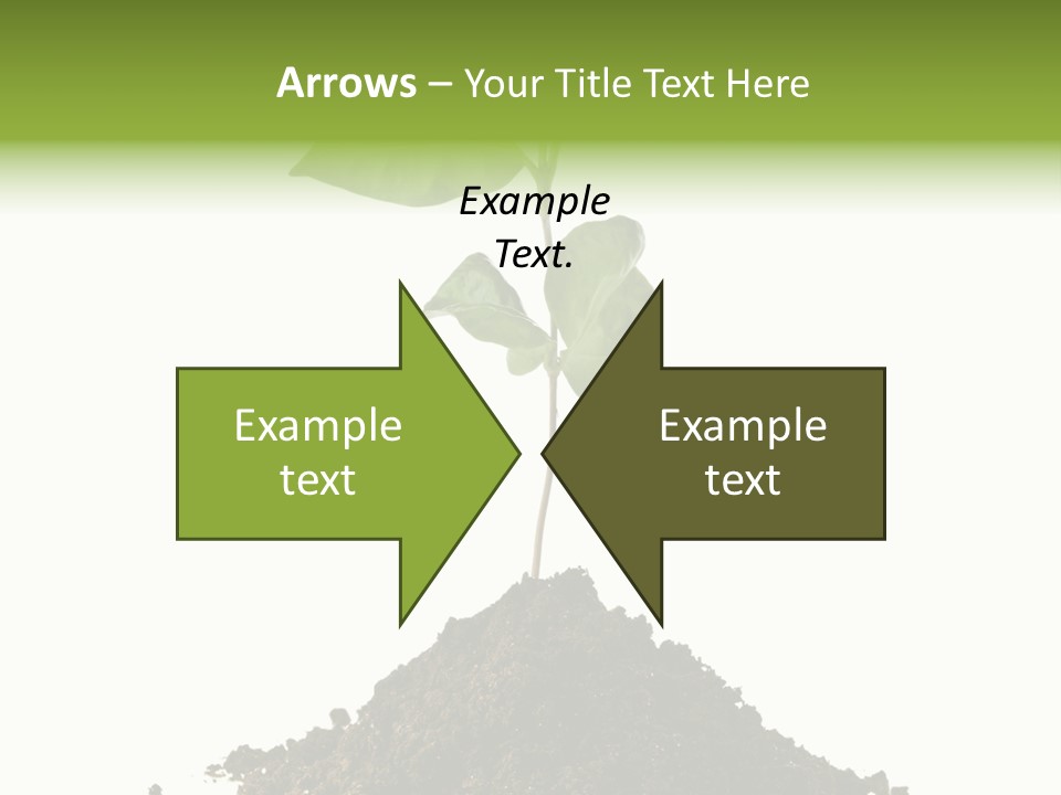 Leaf Ecology Cultivate PowerPoint Template