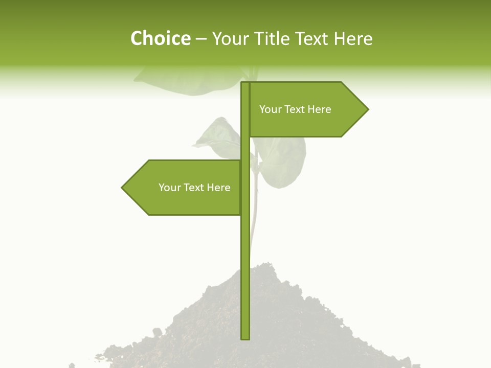 Leaf Ecology Cultivate PowerPoint Template