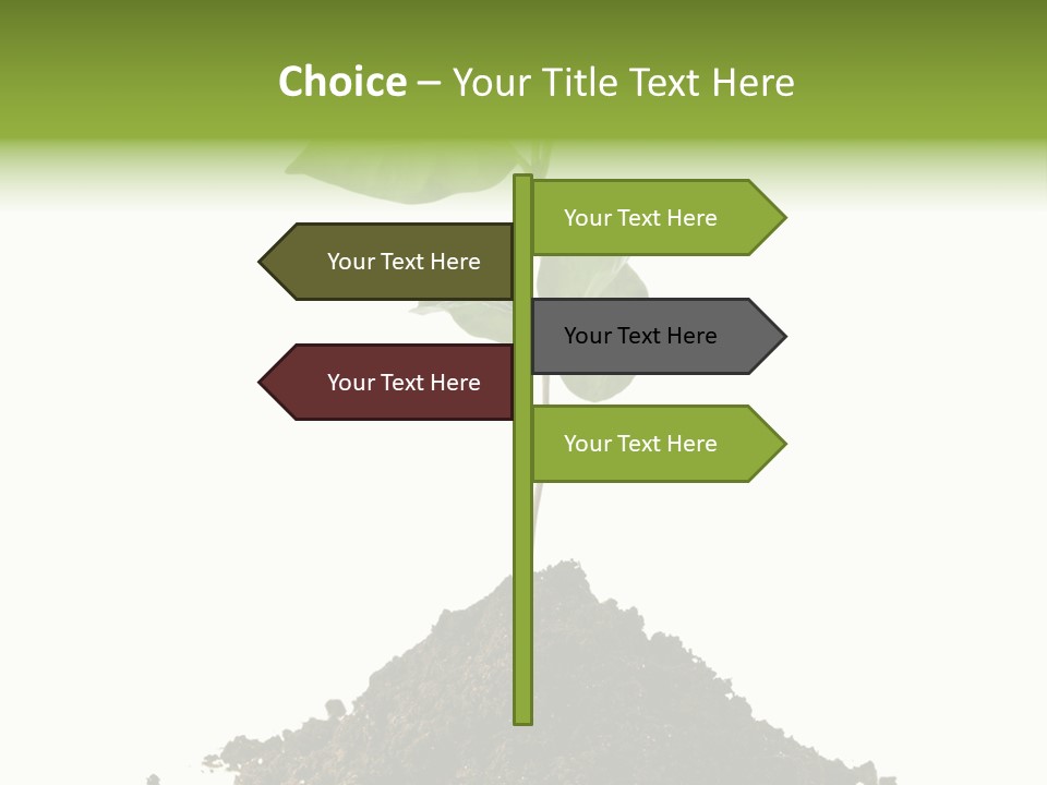 Leaf Ecology Cultivate PowerPoint Template