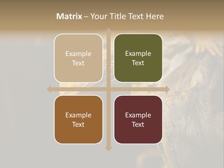 Juvenile Zoo Dragon PowerPoint Template