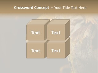 Juvenile Zoo Dragon PowerPoint Template