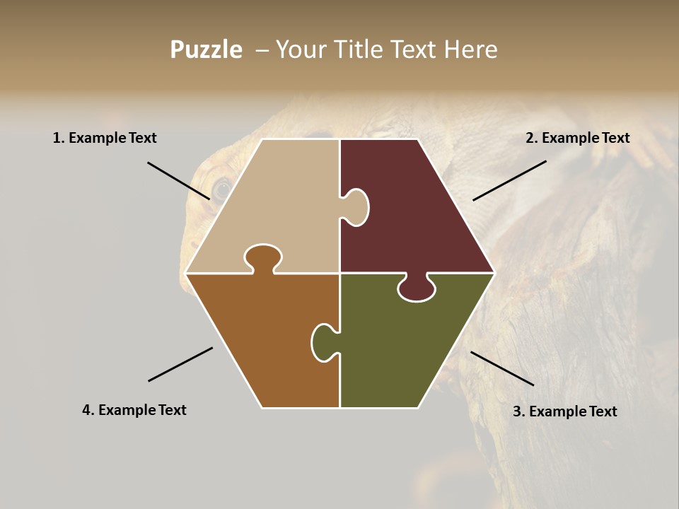 Juvenile Zoo Dragon PowerPoint Template