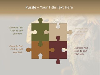 Juvenile Zoo Dragon PowerPoint Template