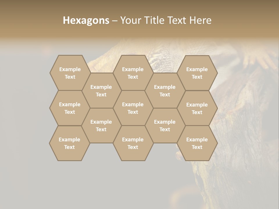 Juvenile Zoo Dragon PowerPoint Template