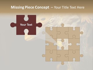 Juvenile Zoo Dragon PowerPoint Template