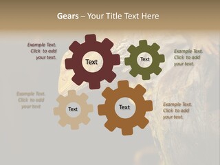 Juvenile Zoo Dragon PowerPoint Template