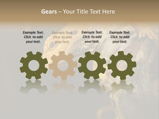 Juvenile Zoo Dragon PowerPoint Template