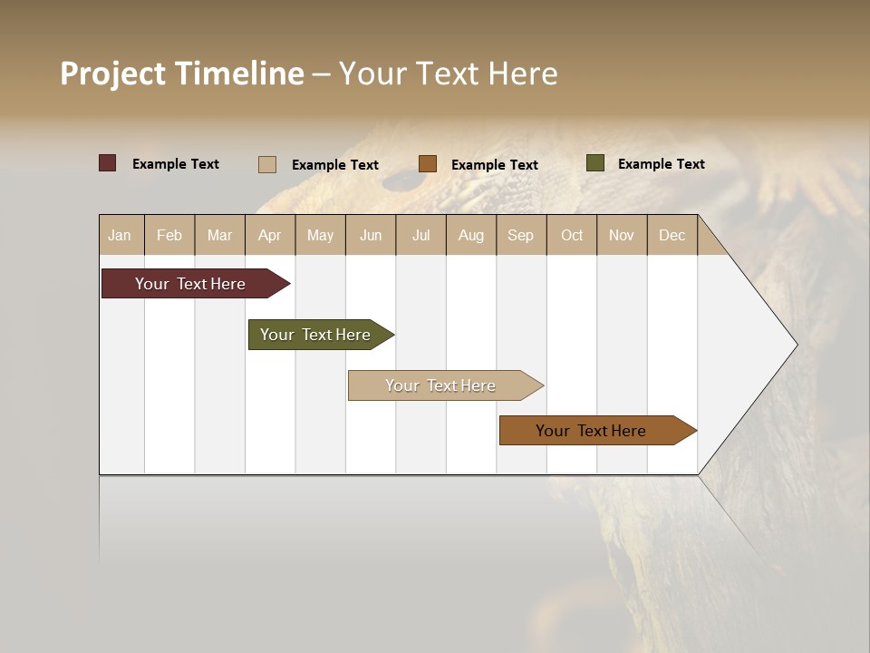 Juvenile Zoo Dragon PowerPoint Template