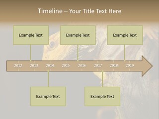 Juvenile Zoo Dragon PowerPoint Template