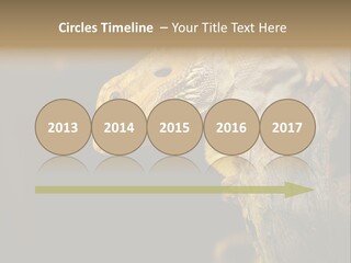 Juvenile Zoo Dragon PowerPoint Template