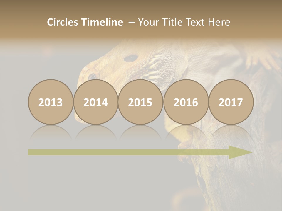 Juvenile Zoo Dragon PowerPoint Template