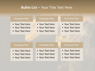 Juvenile Zoo Dragon PowerPoint Template