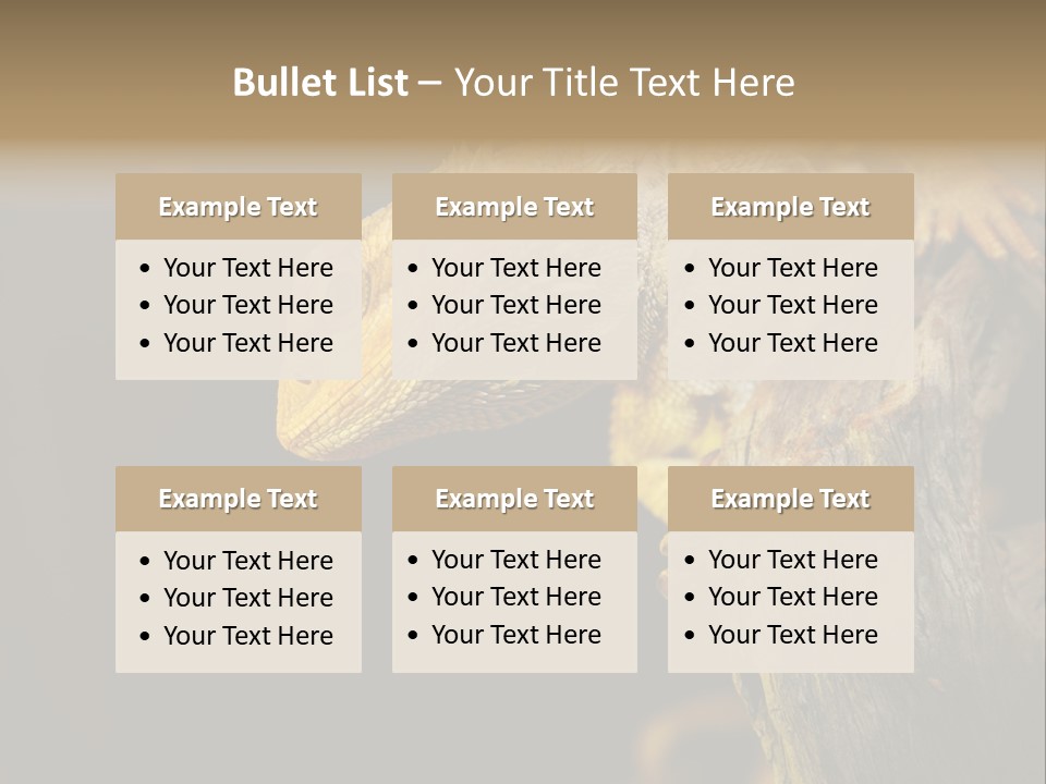 Juvenile Zoo Dragon PowerPoint Template